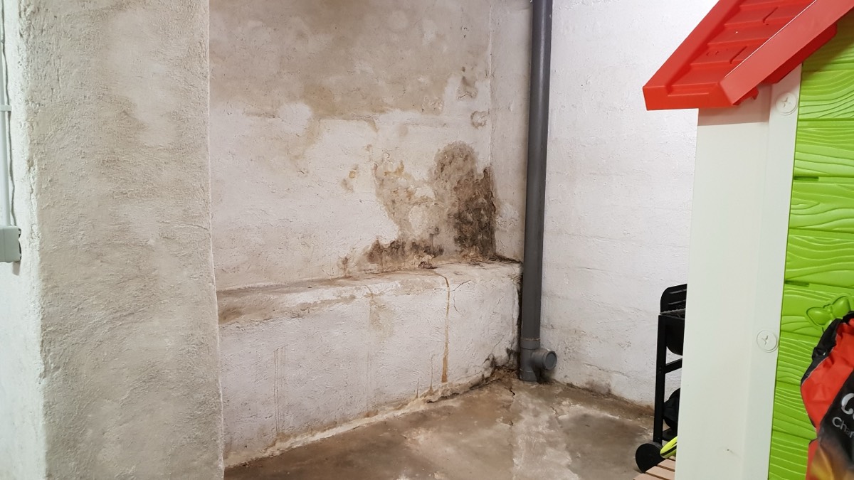 Infiltrations d'eau - Expertise humidité à Limoges